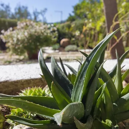 Matea Lejlighed Tisno