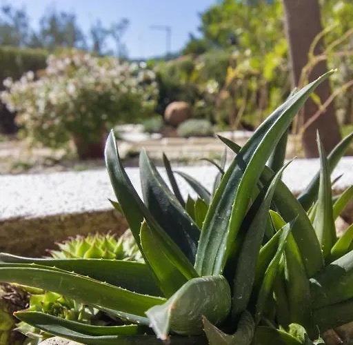 Matea Apartman Tisno